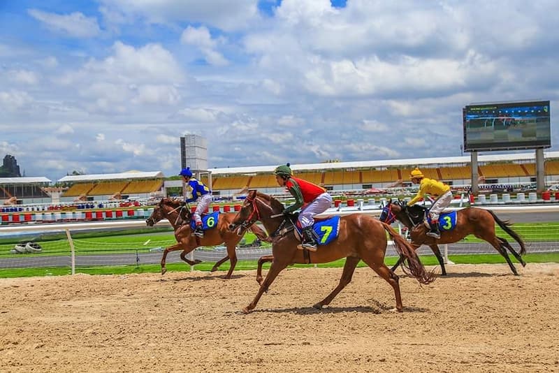 Cá cược đua ngựa IBET68 kịch tính 